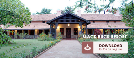Black Buck Resort Brochure